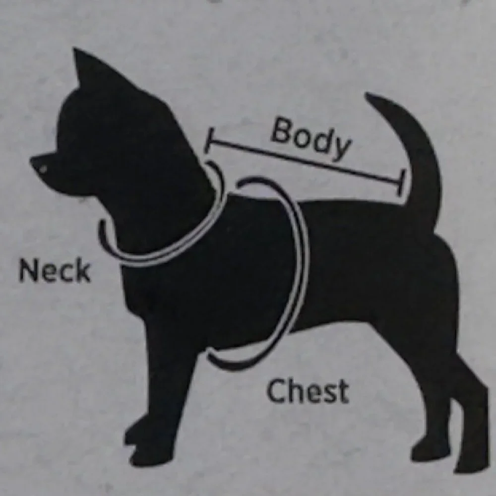 Halloween Novelty Pet Tee Small Ghost and Pumpkin Design Black Dog Costume NEW